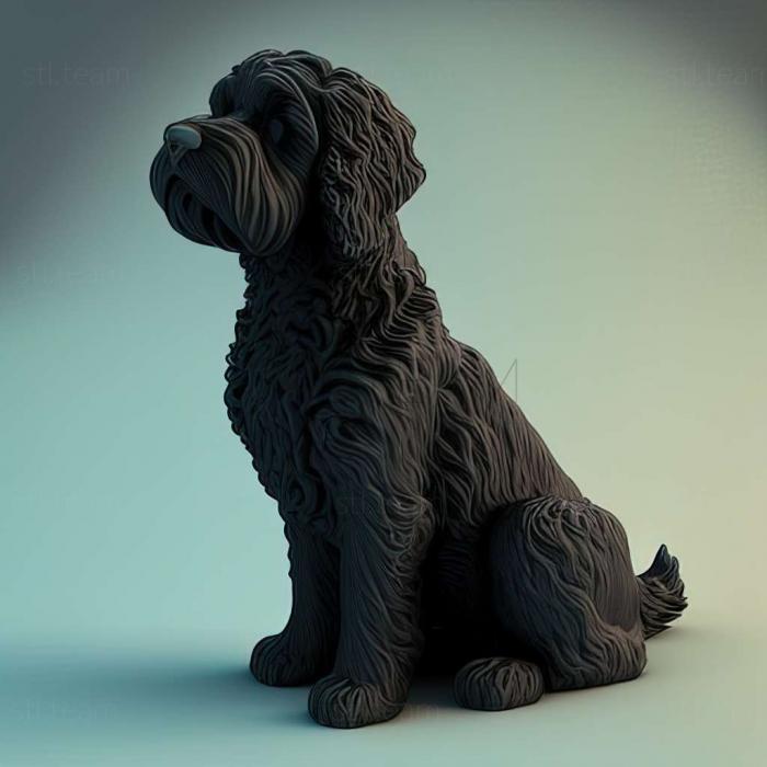 3D модель Португальская водяная собака (STL)